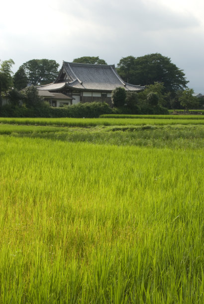 御殿场市