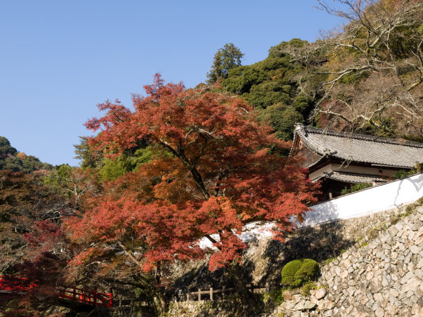 日本剑山