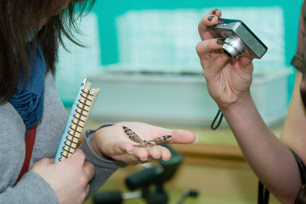 拍照,相机,人的手