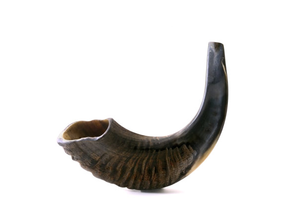 horns