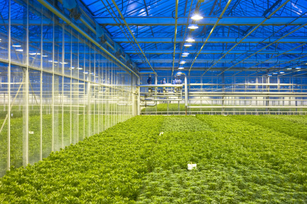 greenhouse