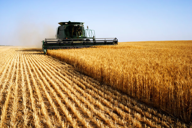 harvest