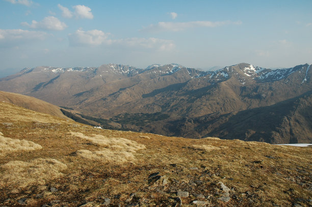 shiel