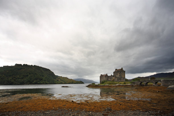 donan