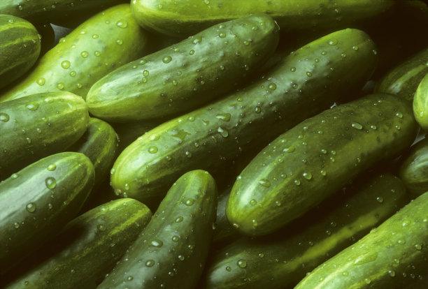 cucumber