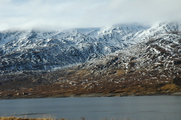 shiel