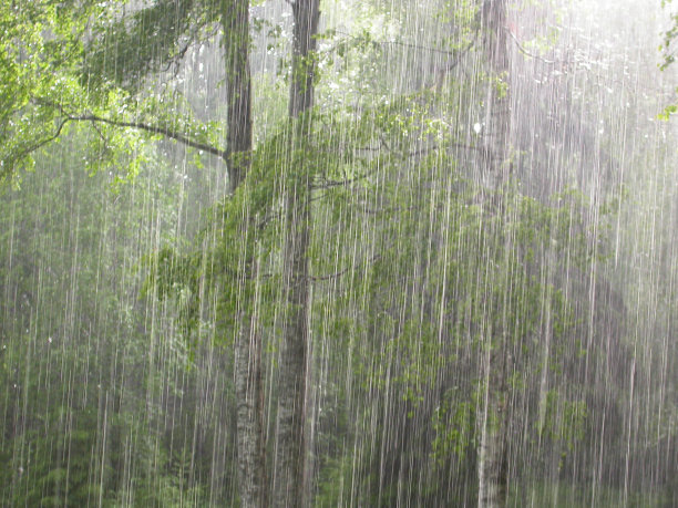 drizzle