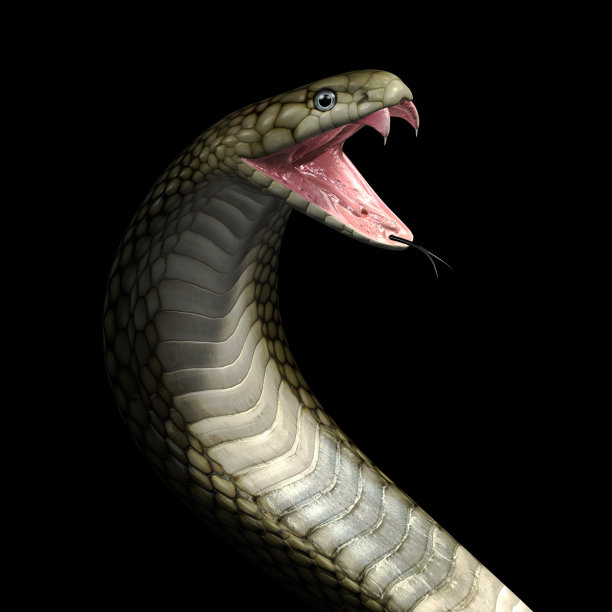 atheris