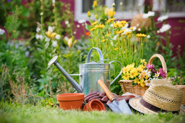 horticulture