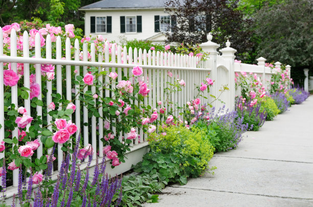 fence