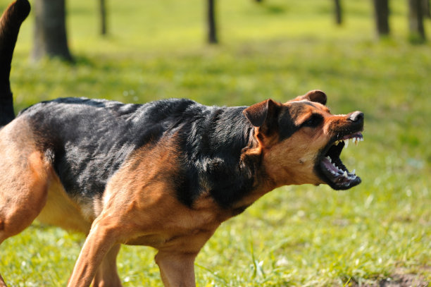 furious