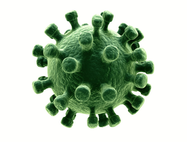 bacteria
