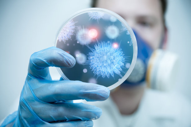 bacteria