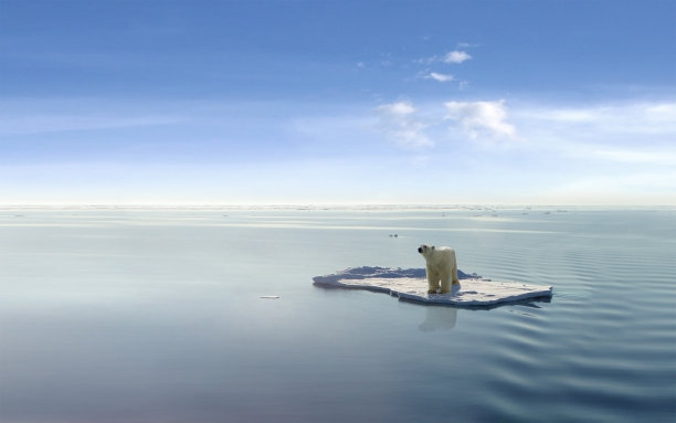 arctic