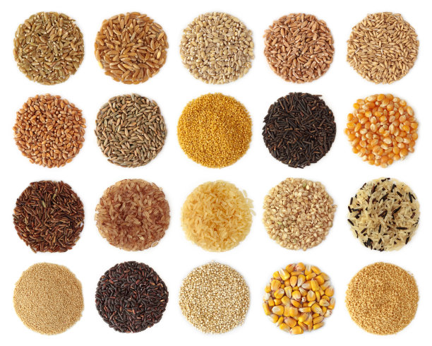 triticum