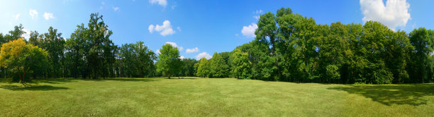 全景