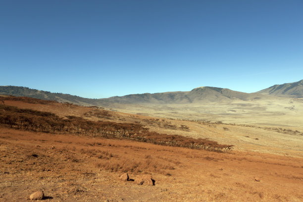 ngorongoro