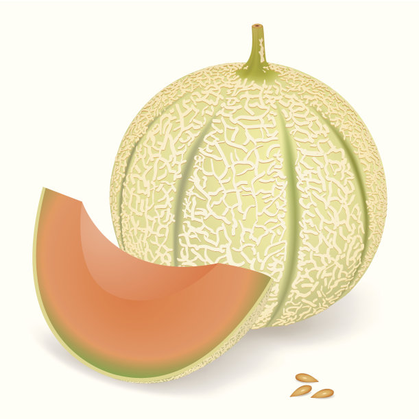 橙色,水果,无人