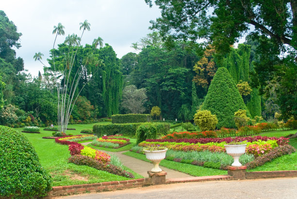 kandy