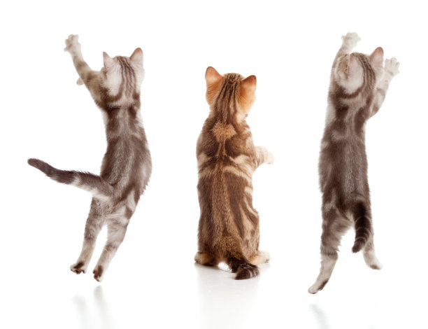leaping