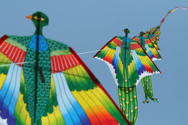 kite