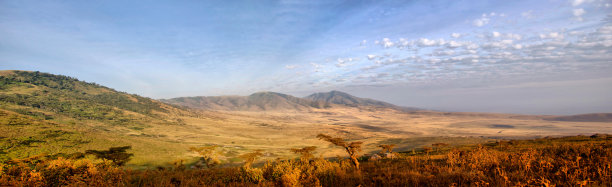 ngorongoro