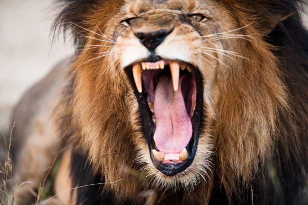furious