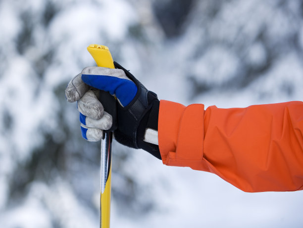 gloves