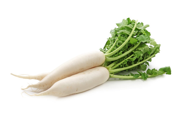 radishes