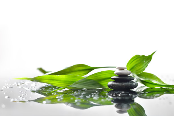 wellness