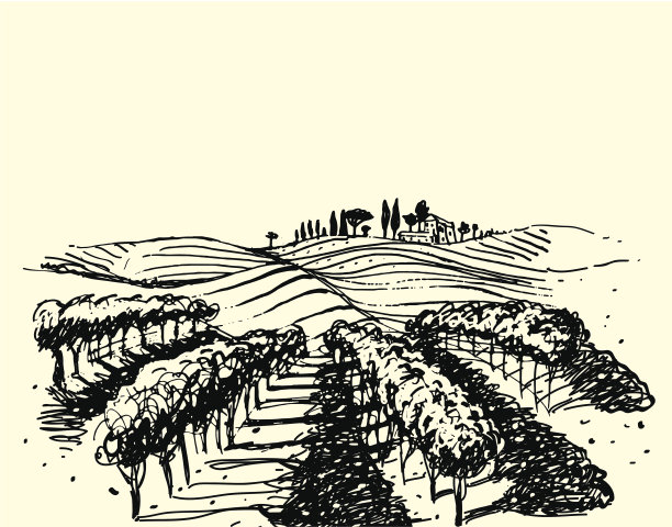 vineyard