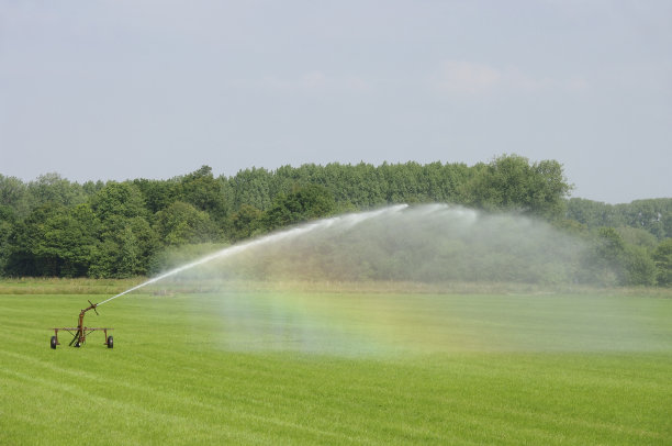sprinkler