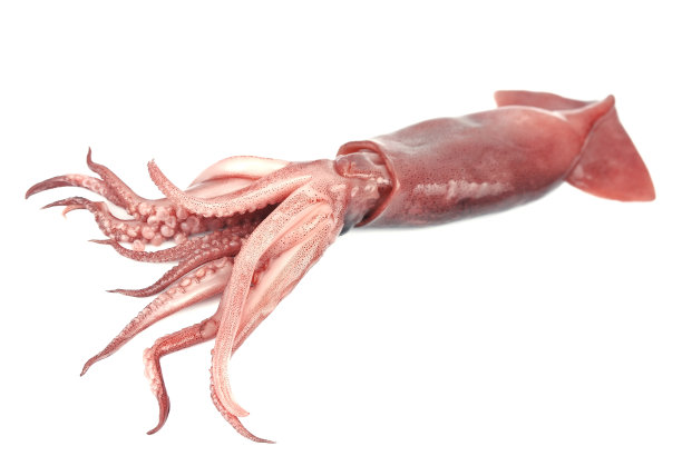 ika