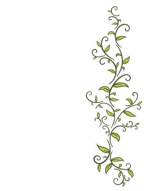 vitis