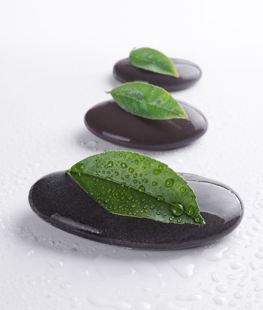 叶子,植物,草药