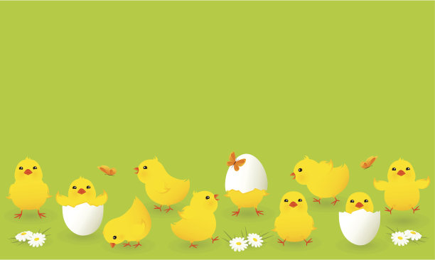 chick