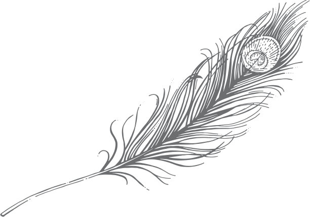 孔雀羽毛矢量图