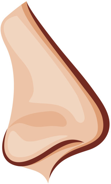 nose