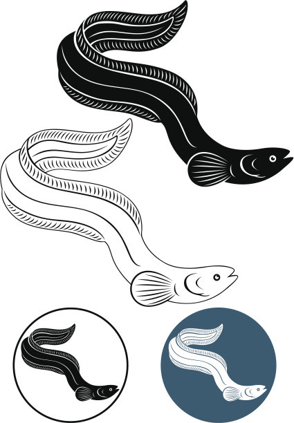 eel