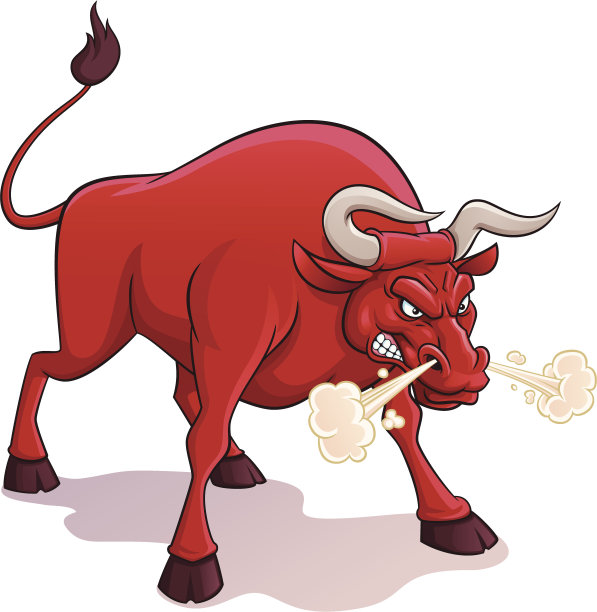 bull