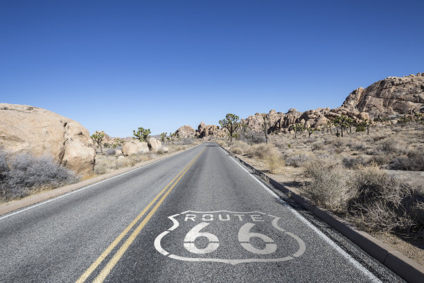 66