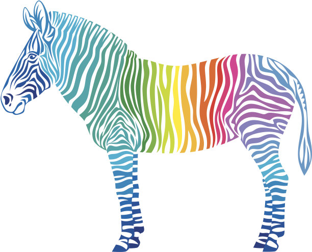 zebra