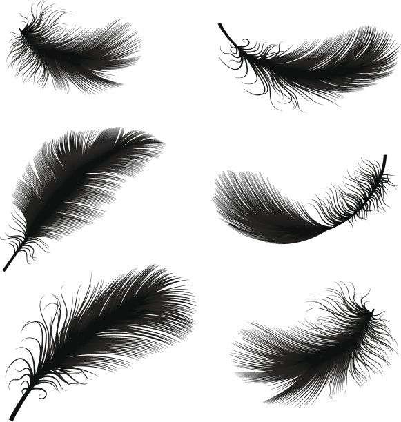 feathers
