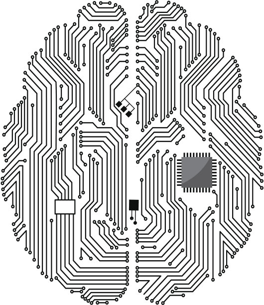 brain