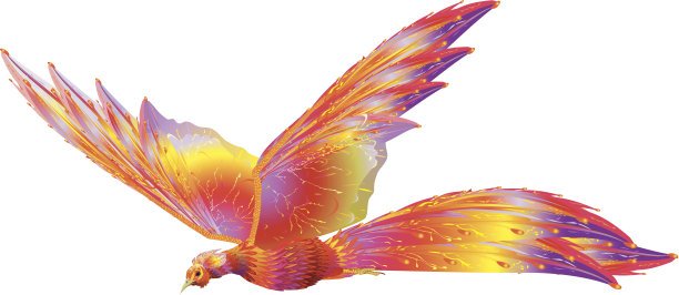 金红色凤凰插画