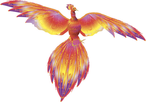 金红色凤凰插画