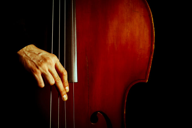 bass