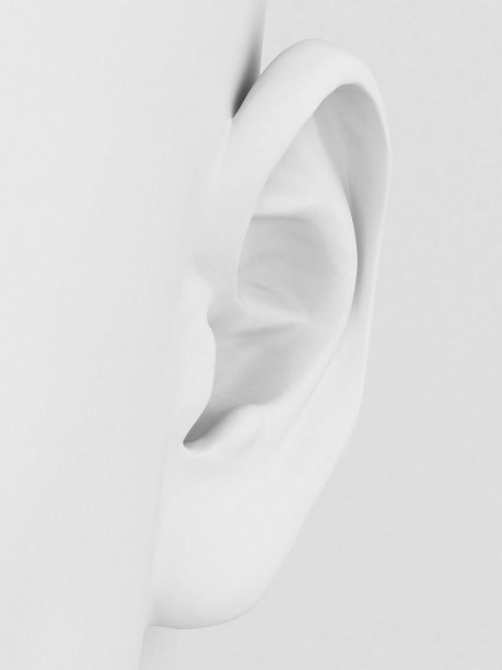 ear
