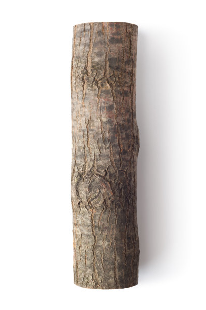 log