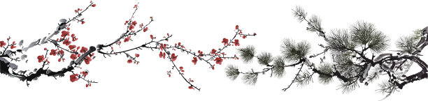中国风花卉插画